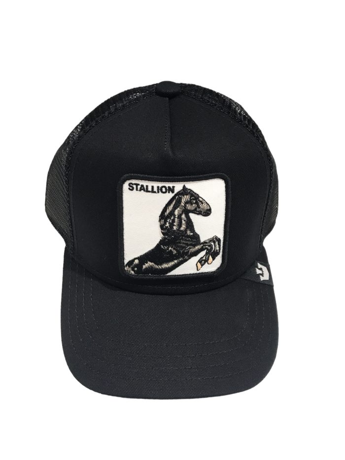 Visiera Stallion - immagine 1