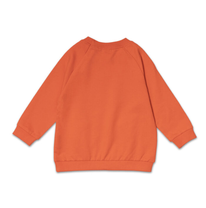 Felpa garzata bambino marca TUC TUC - immagine 2